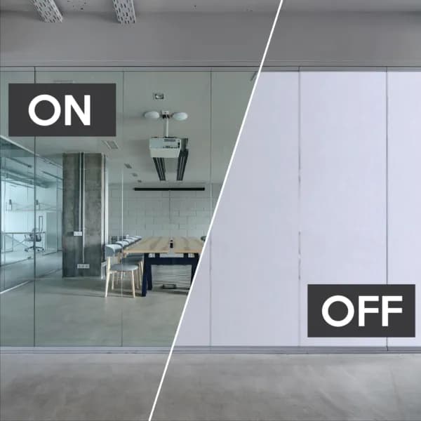 Switchable Privacy Glass